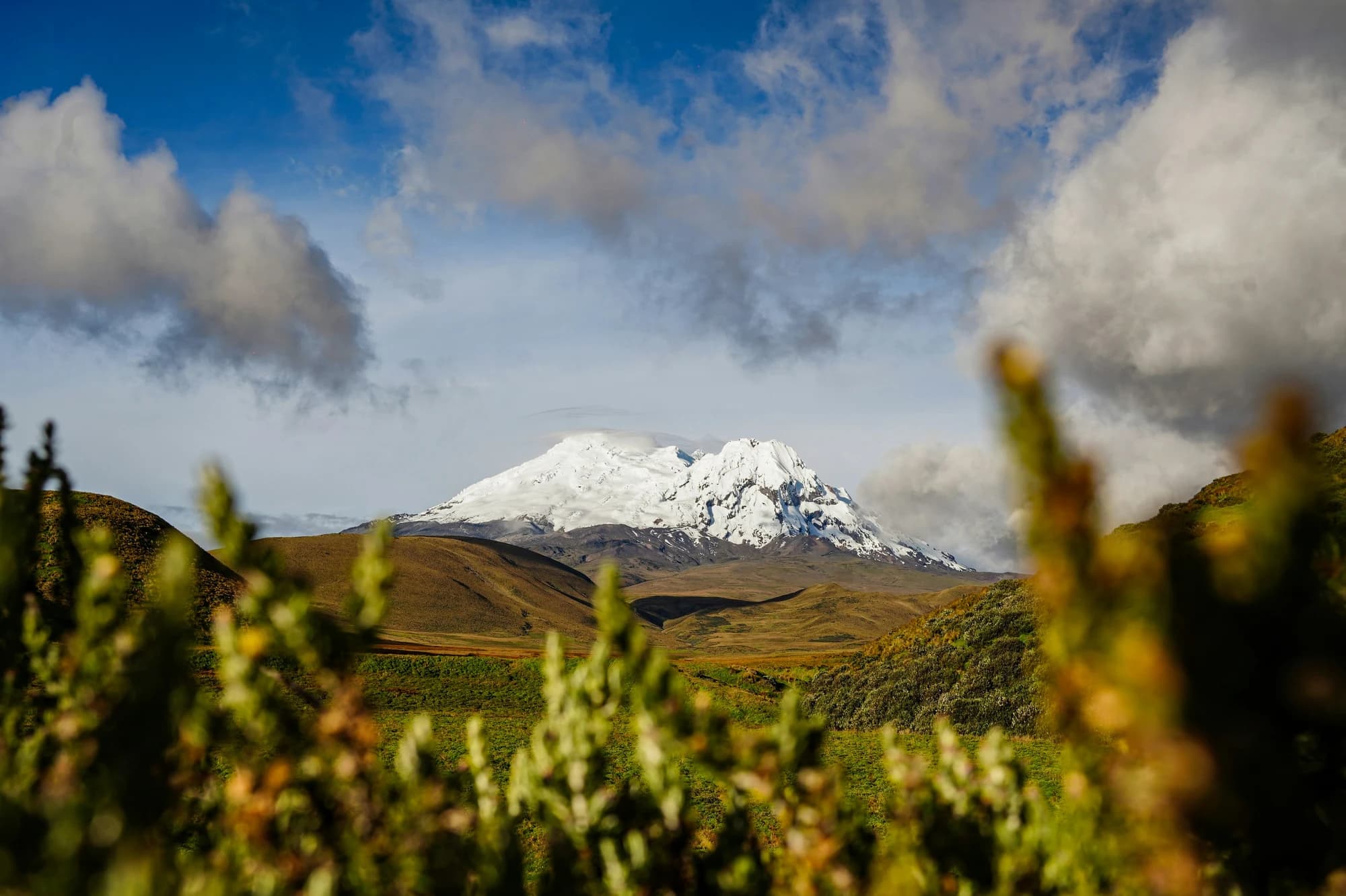 El volcán Antisana entre las nubes y la vegetación del páramo ecuatoriano. Fotografía de Andres Medina.